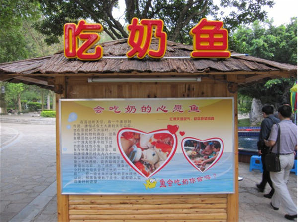 火了很多年,月利润3W+的暴利项目 赚钱 建站教程 第3张 火了很多年,月利润3W+的暴利项目